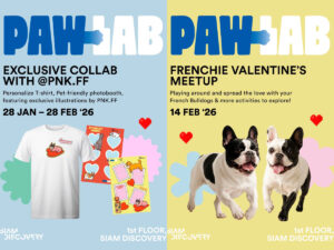 สยามดิสคัฟเวอรี่ เปิดพื้นที่จัดเต็มกิจกรรมศิลปะ ดนตรี และเพื่อนสี่ขา ตลอดเดือนแห่งความรัก