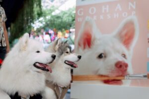 GDH จับมือ CPN จัดกิจกรรม “โกเวิร์กช็อปไปกับเจ้าโกฮัง” เนรมิตพื้นที่ศูนย์การค้า “CENTRAL WESTVILLE – CENTRAL EASTVILLE” รวมงานคราฟต์ สุดคิวต์ โดนใจกลุ่มคนรักสัตว์เลี้ยง